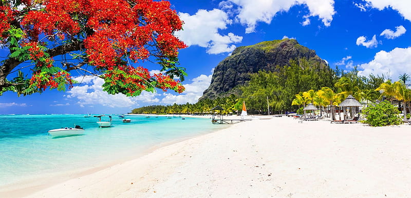 MAURITIUS 06 Nights / 07 Days